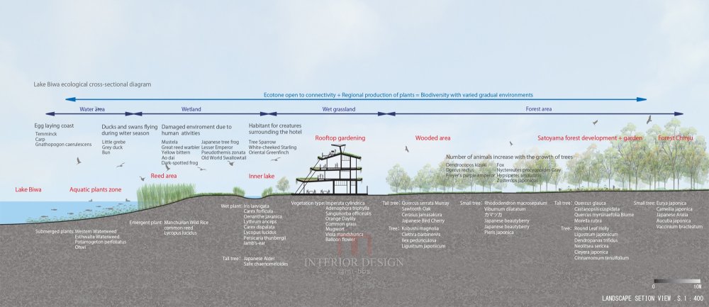 ecotone_section_diagram.jpg