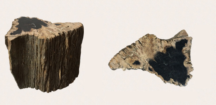 沉睡的木头——多彩的木化石_原木化石4.jpg