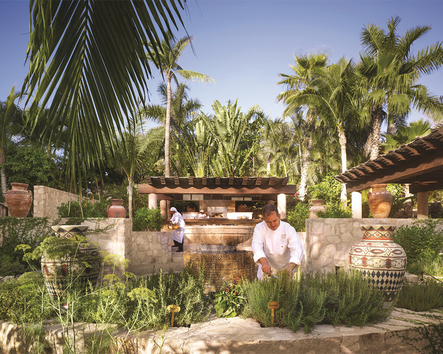 ONE&ONLY 墨西哥帕尔米亚豪华度假村酒店（官方摄影）_one-and-only-palmilla-herb-garden-restaurant.jpg