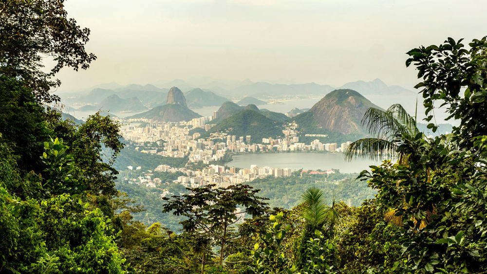 里约热内卢君悦酒店(官方攝影) Grand Hyatt Rio de Janeiro_Grand-Hyatt-Rio-de-Janeiro-P094-View-Floresta-Tijuca-1280x720.jpg