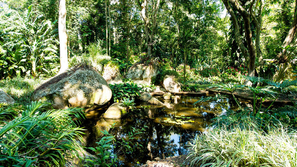 里约热内卢君悦酒店(官方攝影) Grand Hyatt Rio de Janeiro_Grand-Hyatt-Rio-de-Janeiro-P142-Burle-Marx-Nature.gallery-2-3-item-panel.jpg