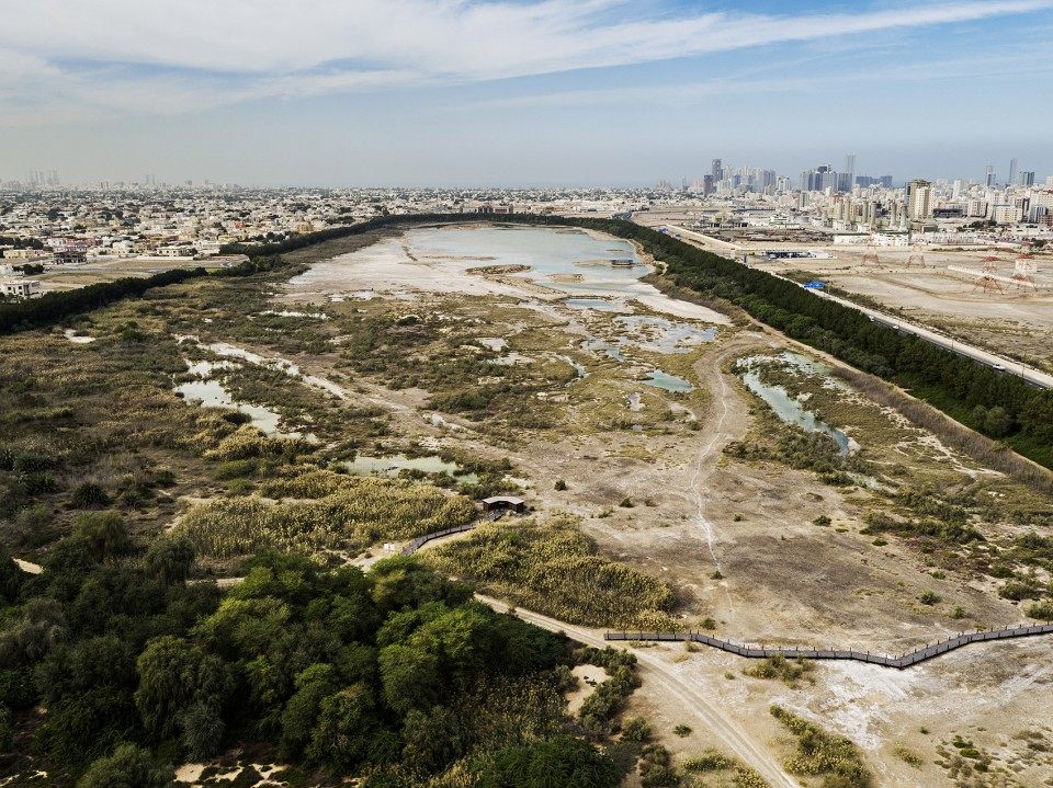 阿联酋荒漠中的小鸟天堂_001-Wasit-Natural-Reserve-by-X-Architects-960x719.jpg