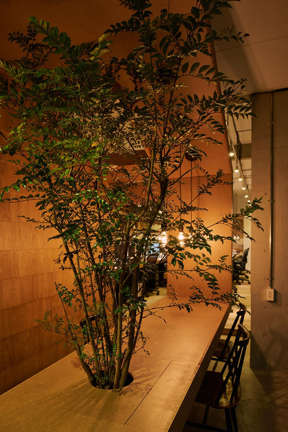 小树坐镇－精致工业风的沿街办公室，东京_017-Office-f-by-Tenhachi-Architect-Interior-Design.jpg