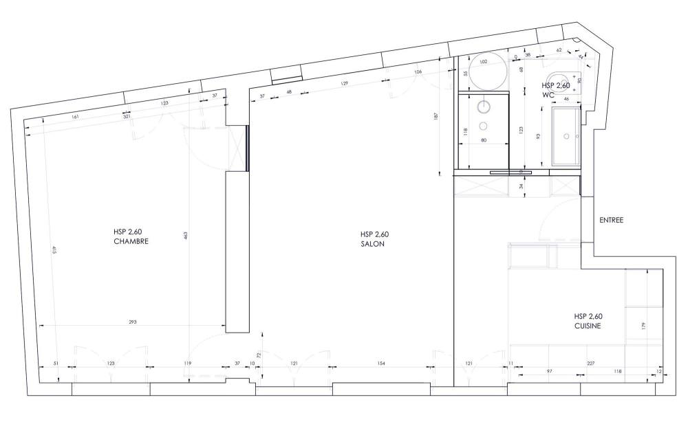 plan-d-un-38m2-refait-a-paris_5399749.jpg