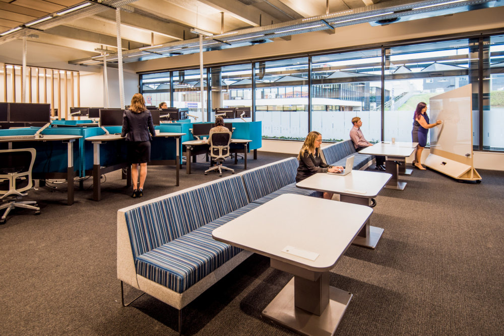 Trustpower Offices – Tauranga_trustpower-office-design-2.jpg