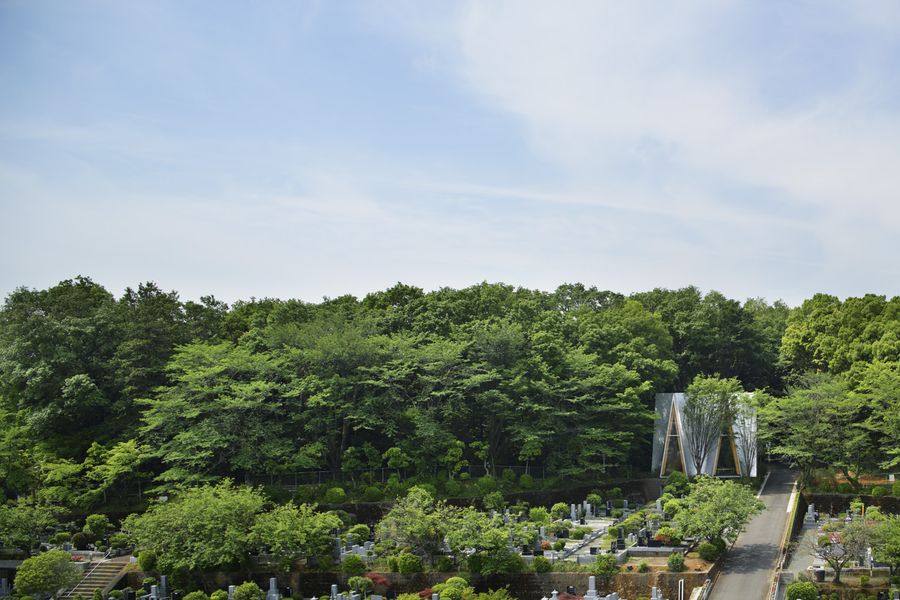 隐于山林_004-Sayama-Forest-Chapel-by-Hiroshi-Nakamura-NAP-Co.Ltd_..jpg