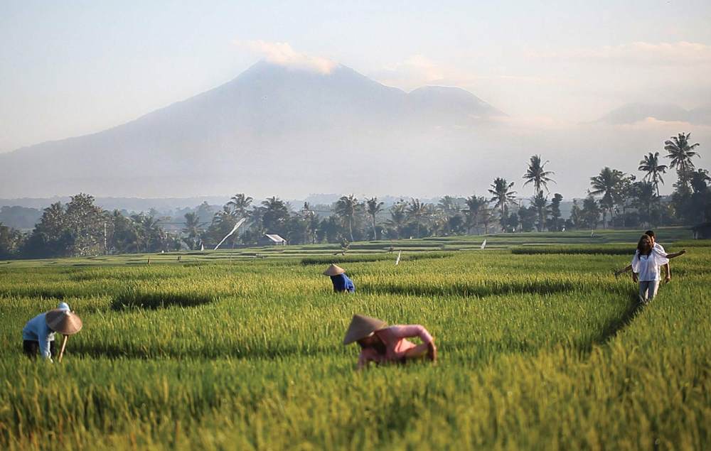 Alila Villas Soori Bali 巴厘岛Soori度假酒店-SCDA_1.jpg