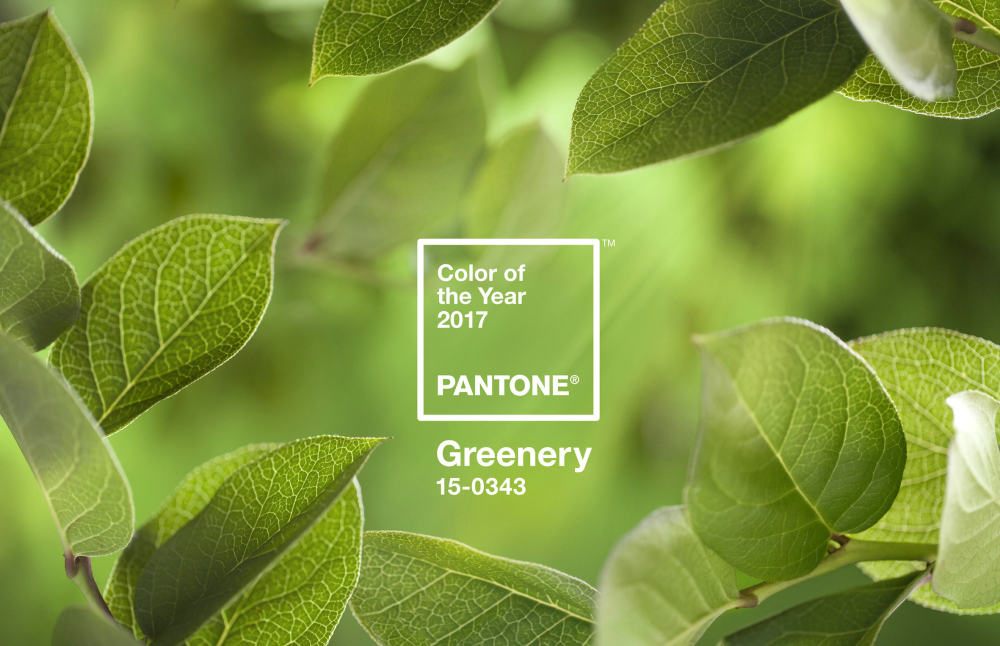 pantone-coy2017-heroshot2-rgb.jpg