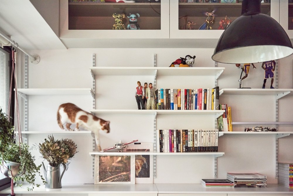 Cat Owner’s Cramped Apartment Gets Room to Breathe_accent-wall-bookshelf-adjustable.jpg