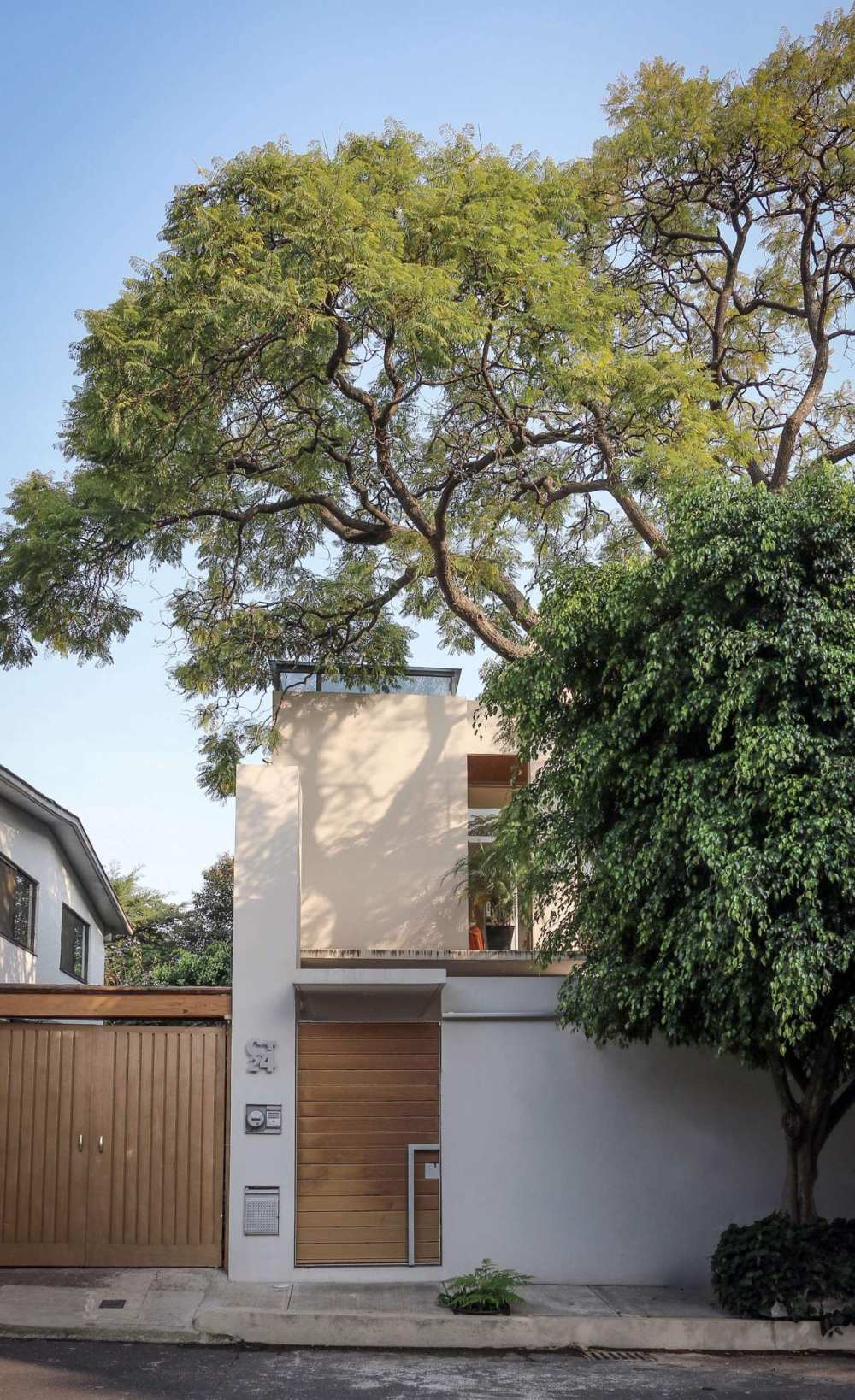 A Book Lover’s Dream House With Great Nature Views_tree-overshadowing-house-plaster-and-timber-home.jpg