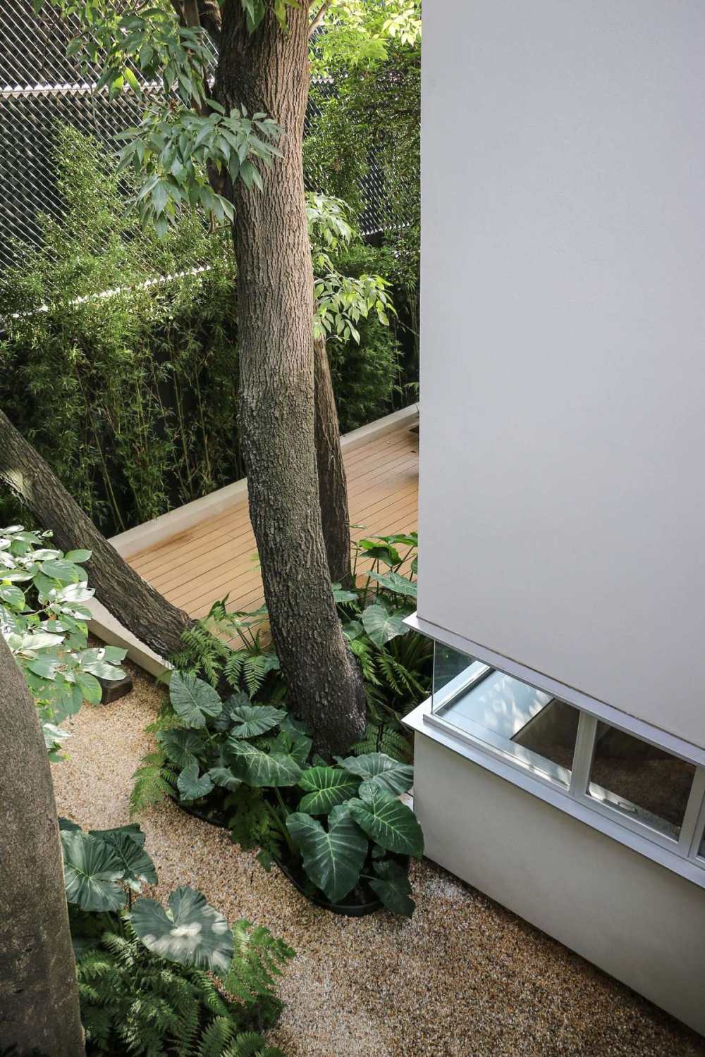 A Book Lover’s Dream House With Great Nature Views_tree-sprouting-out-of-second-level-timber-home.jpg