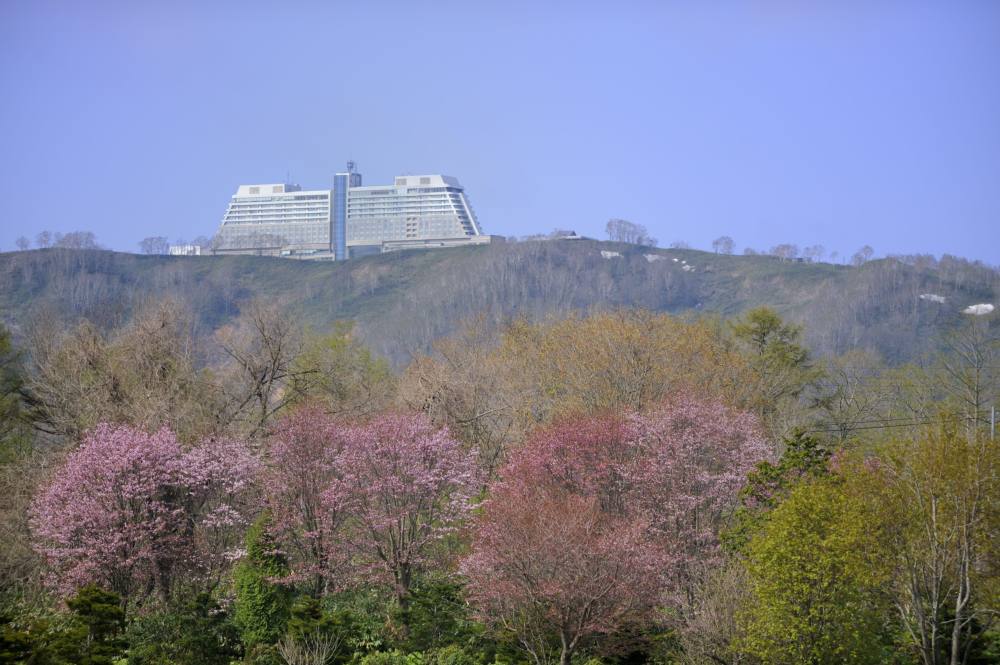 日本北海道洞爷温莎度假＆温泉酒店_3226.jpg