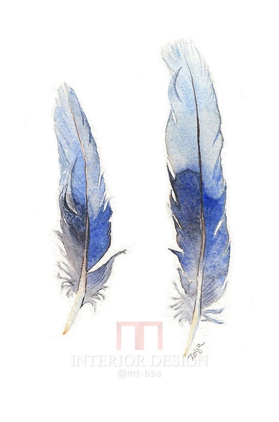 Blue Feathers - original watercolour painting of two blue Rosella tail feathers .jpg