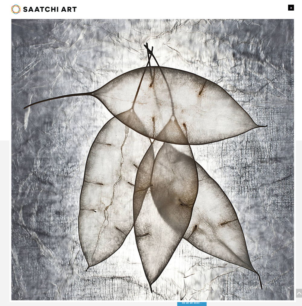 现代简约_Saatchi Art_ leaves3-Limited edition of 15 prints Photography by Maja Hrnjak.png