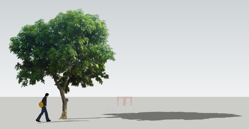 【Sketchup】园林植物组件模型_001.jpg