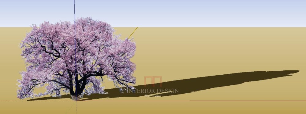 【Sketchup】园林植物组件模型_003.jpg