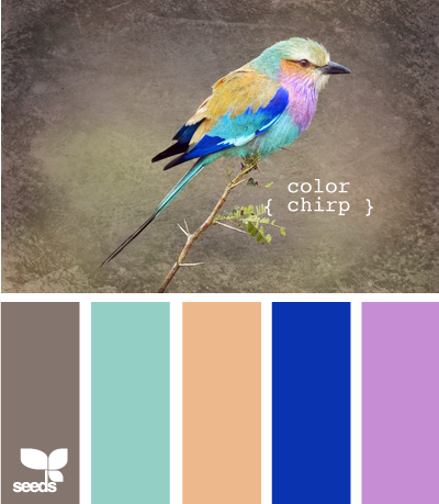 ColorChirp625.png