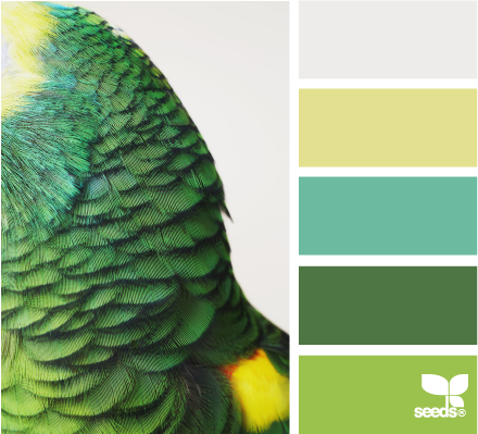 ParrotColor.png