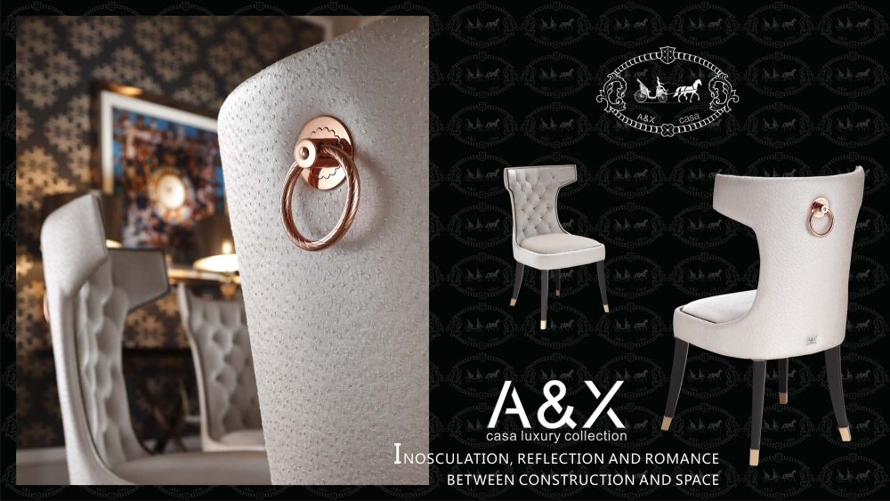 联合欧陆A&X阿玛尼 后现代最新产品资料（高清无水印白底..._CC013餐椅.jpg