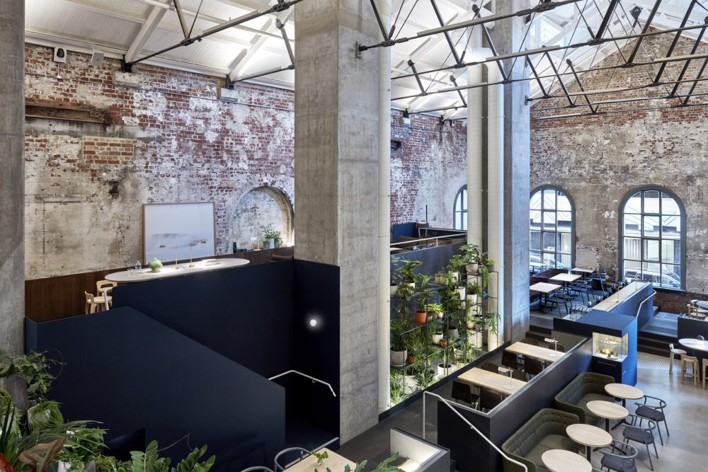 higher-ground-design-office-interior-melbourne-australia_dezeen_2364_col_10-1.jpg