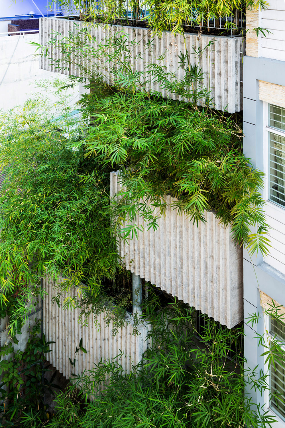 bamboo-house-vo-trong-nghia-architects-ho-chi-minh-vietnam_dezeen_2364_col_1.jpg