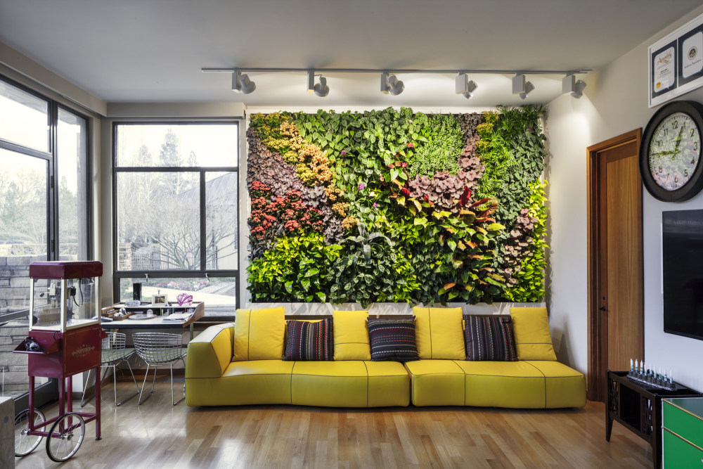 超酷，好用的绿植墙面 （可以当贴图用）_下得乐-植物墙 (1).jpeg
