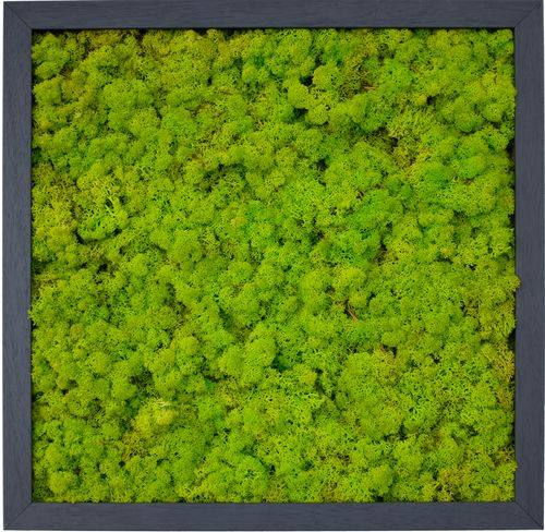 超酷，好用的绿植墙面 （可以当贴图用）_下得乐-植物墙 (2).jpg