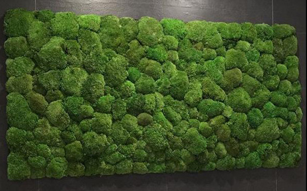 超酷，好用的绿植墙面 （可以当贴图用）_下得乐-植物墙 (7).jpg
