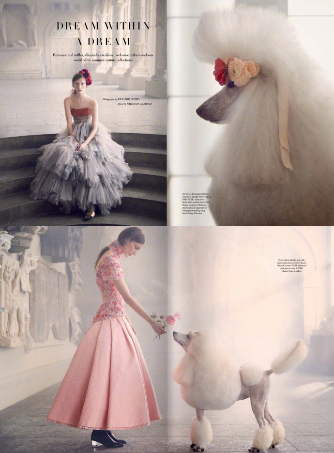 英国版芭莎真是一本造梦的时装杂志...杭州炬猫品牌设计..._005yYQOnly1fqy6t1jogzj325v2xkb29.jpg
