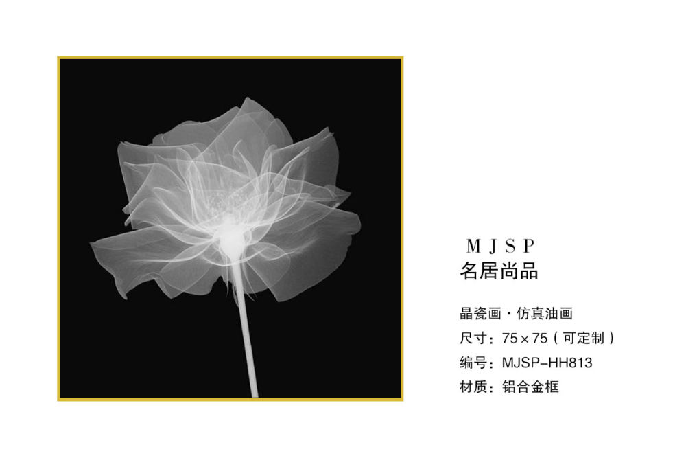 轻奢极简晶瓷画_MJSP-HH813.jpg
