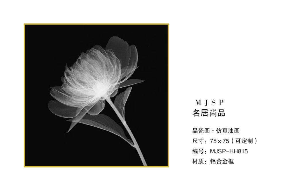 轻奢极简晶瓷画_MJSP-HH815.jpg