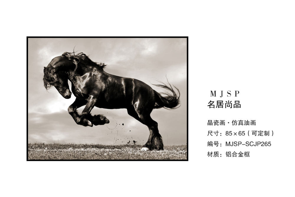 轻奢极简晶瓷画_MJSP-SCJP265.jpg