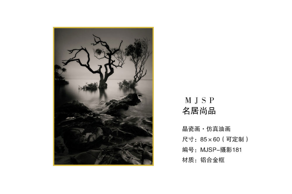 轻奢极简晶瓷画_MJSP-摄影181.jpg