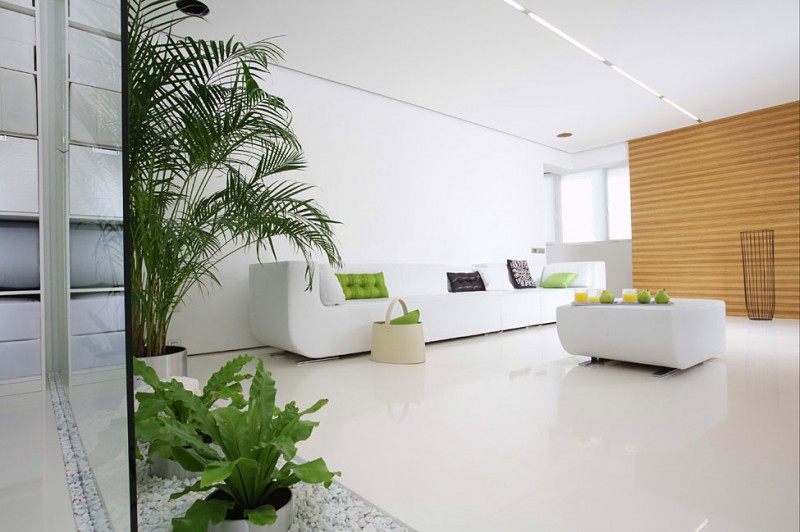 white-cube-00-800x532.jpg