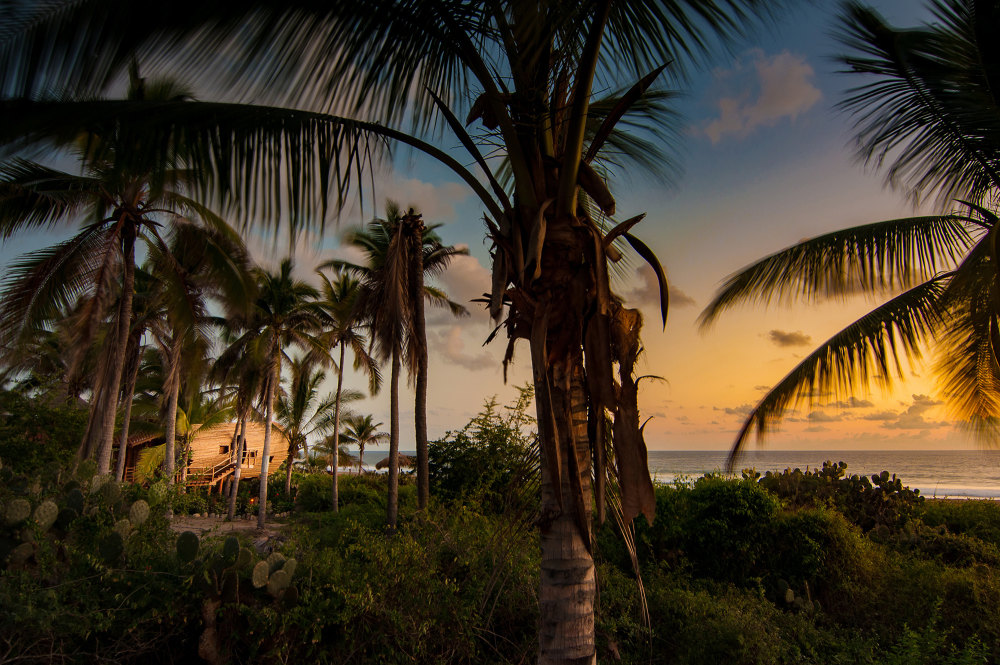 147874530222312_treehouse_perch_view_from_lounge_the_cubic_studio.jpg