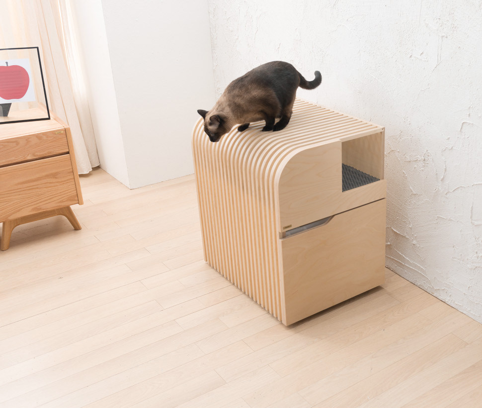 leibal_cattoto_pote_4.jpg