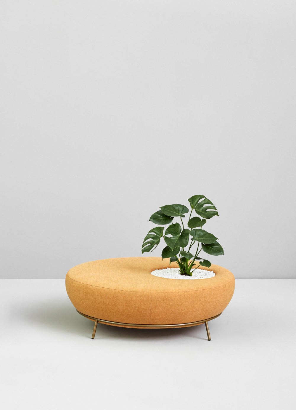 NEST-Paula-Rosales-MISSANA-1.jpg