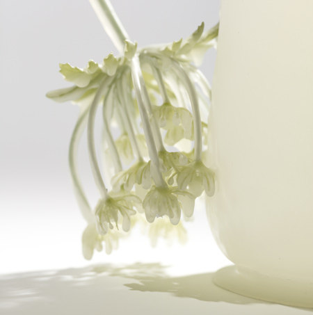 dzn_Frozen-in-Time-by-Studio-Wieki-Somers-5.jpg