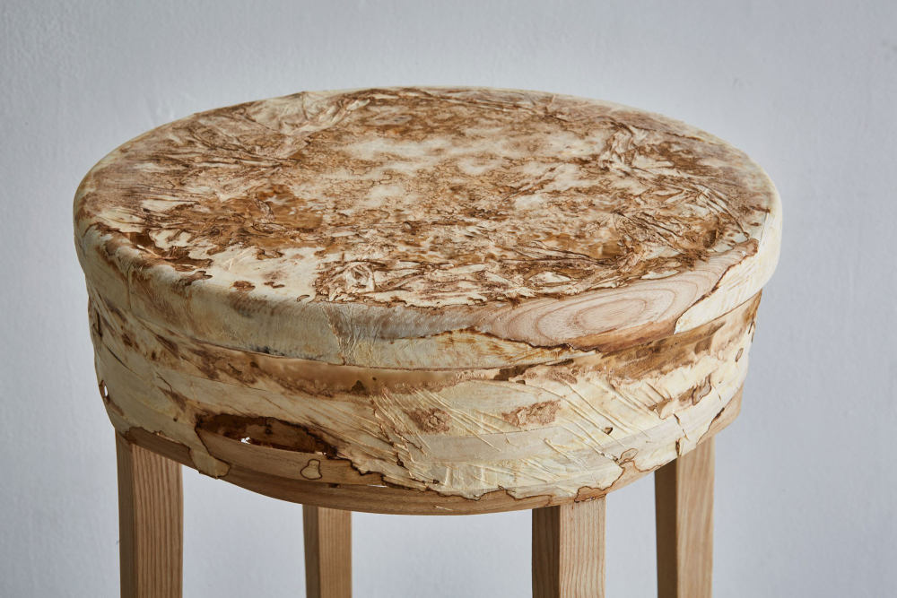 eco-furniture-mycelium-timber-12.jpg