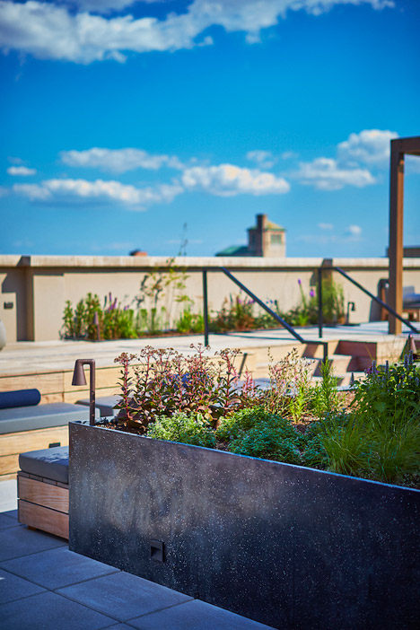 Piet-Oudolf-Huys-terrace-rooftop-garden_rushi_sq.jpg