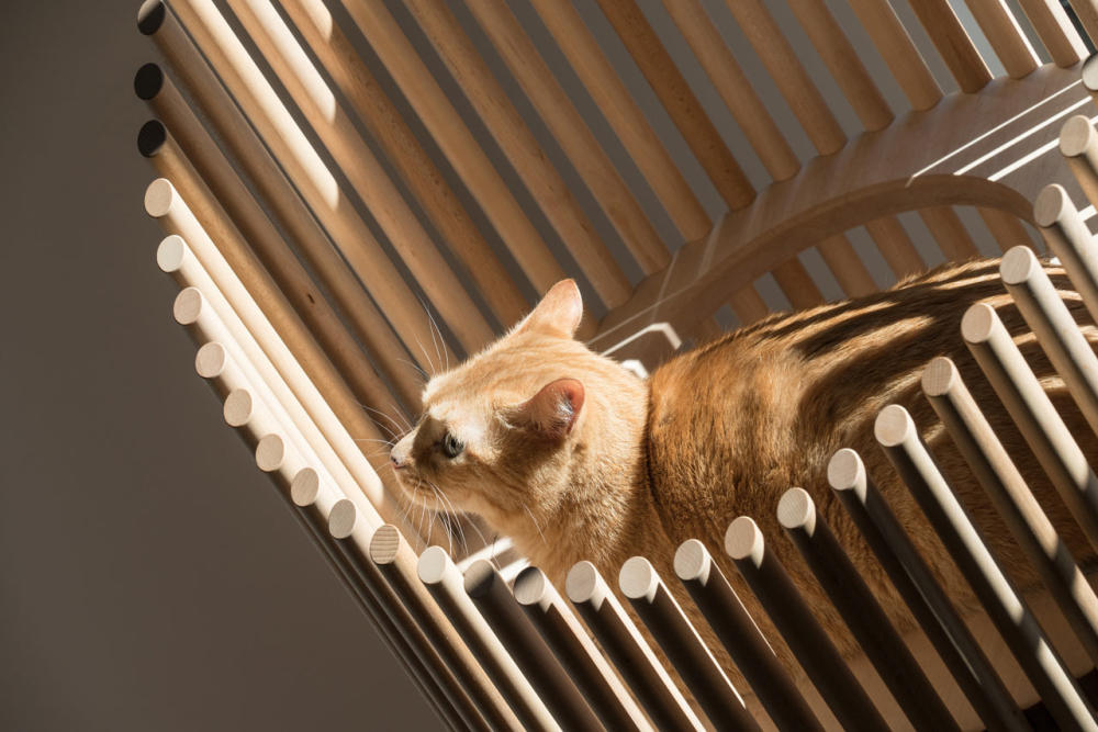 neko-modern-cat-tree-1.jpg