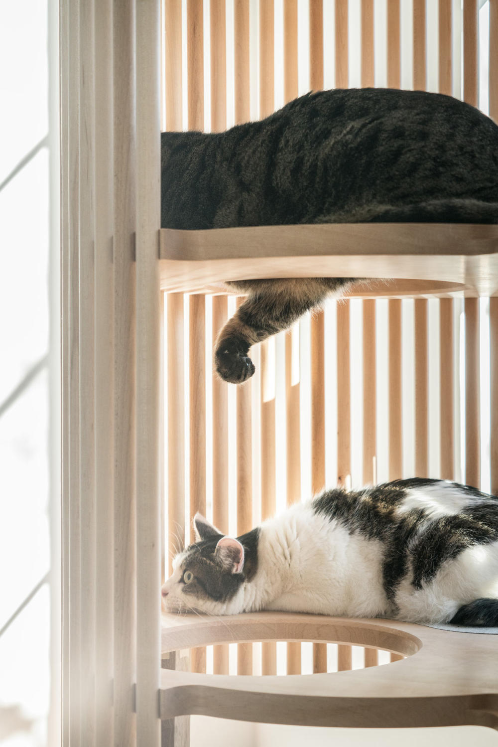 neko-modern-cat-tree-1.jpg