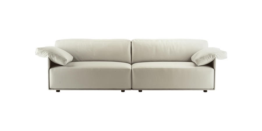 cassiopea_still_life02.jpg