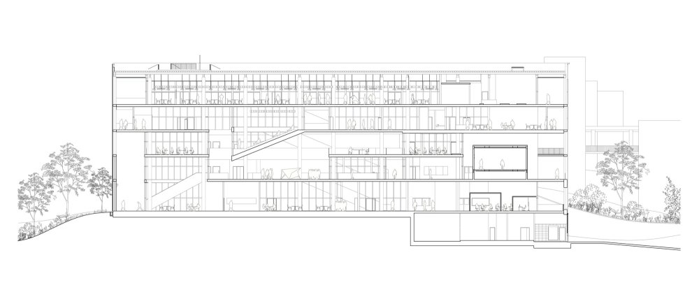 NUS_SDE_SECTION-01-011.jpg