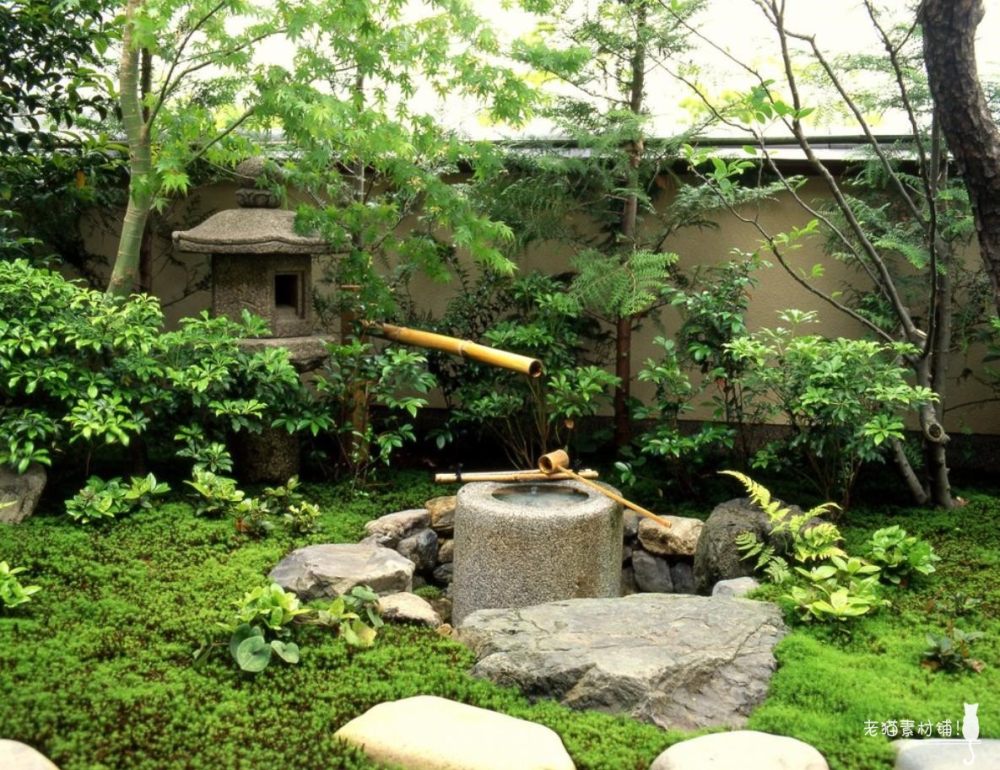 日式庭院设计户外花园绿植院子园林景观设计实景图
