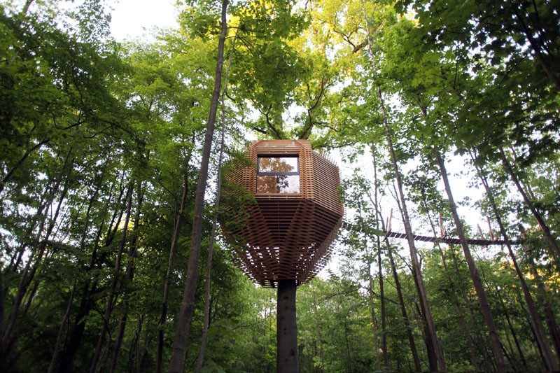 3-wood-tree-house.jpg