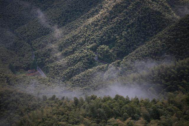 所有的山居度假，都敌不过杭州这片秘境-6.jpg