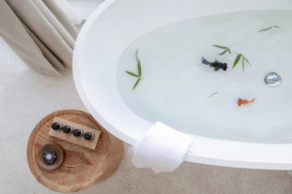浴缸改鱼缸效果图图片