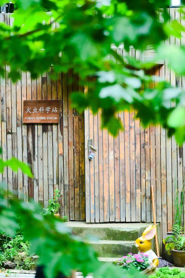 这家红遍江浙沪的树屋酒店，用十年造出一片萤火虫之森，今夏终于开园-14.jpg