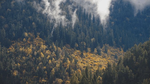 好山好水好民宿！这个35min即达的小城，即将吸引比莫干山更多的目光！_好山好水好民宿！这个35min即达的小城，即将吸引比莫干山更多的目光！-32.jpg